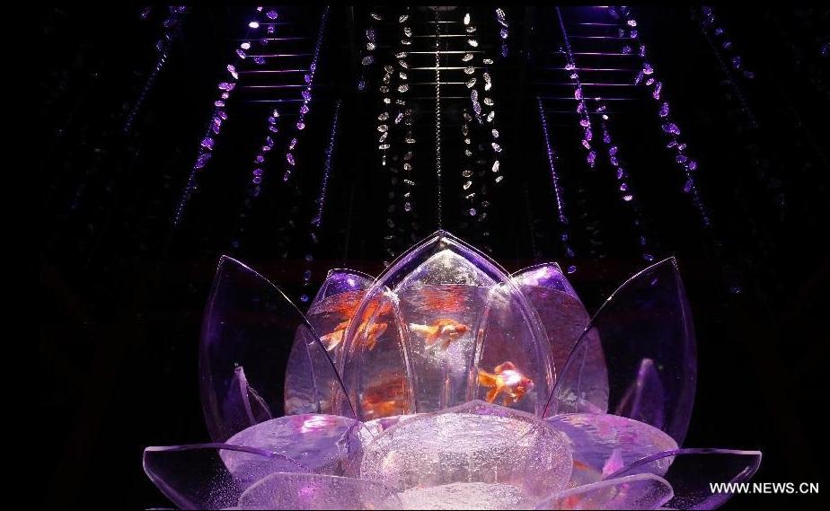 گزارش تصویری از نمایشگاه تخصصی ماهی قرمز در ژاپن