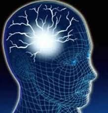 روشی جدید برای تشخیص میزان هوش در دانشگاه آدلاید