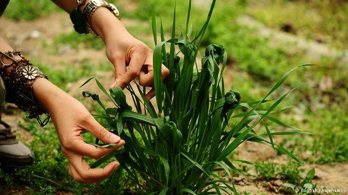 سیزده بدر و رسوم ایران باستان در این روز