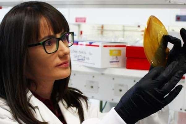 محققان استرالیا وکره جنوبی،سلول سوختی را با الهام از کاکتوس تولید کردند