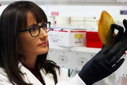 محققان استرالیا وکره جنوبی،سلول سوختی را با الهام از کاکتوس تولید کردند