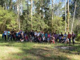 محققان  استرالیا می گویند  پوشش گیاهی نقش مهمی در کاهش استرس، خستگی روحی و افسردگی دارد