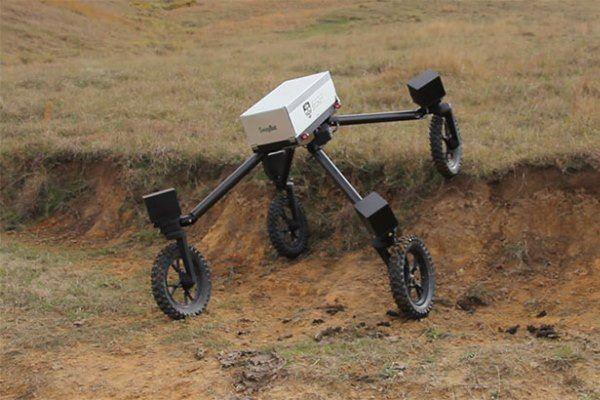 چوپان های استرالیا بیکار شدند! روبات چوپان ساخته شد