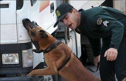 سگ های ویژه کشف مواد مخدر ایران،محموله جاسازی به قصد استرالیا را شناسایی کردند