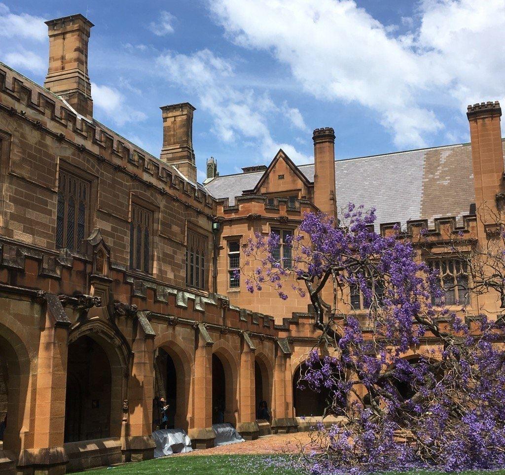 اگر دانشجویان سیدنی تا پیش از رویش نخستین شکوفه های درخت درس نخوانند، مردود می شوند!