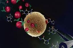 کشف یک مولکول جدید برای مبارزه با سرطان توسط محققان استرالیا