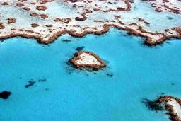 دیواره های مرجانی استرالیا سومین قربانی خود را گرفت