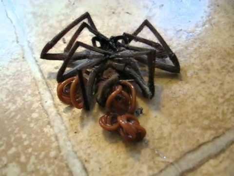 محققان استرالیا می گویند ، کرم ها و عنکبوت ها  بیشترین بیماری را به انسان منتقل می کنند 