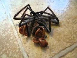 محققان استرالیا می گویند ، کرم ها و عنکبوت ها  بیشترین بیماری را به انسان منتقل می کنند 