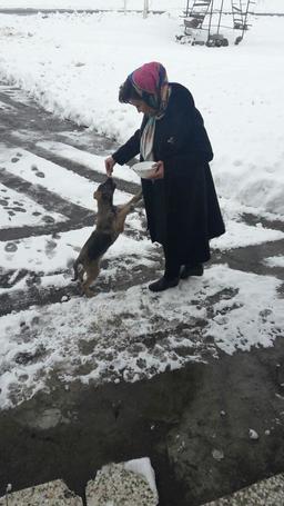 گالری تصویری از مسیر اردبیل ، رشت ، لاهیجان...زمستان 1395 ایران