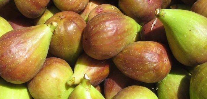 ادلاید...استرالیایی جنوبی / انجیر را با دست خود بچینید