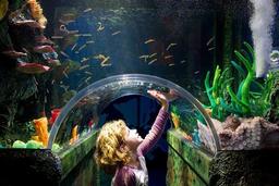 گردشگری استرالیا/ملبورن ..ایالت ویکتوریا " / آکواریوم ملبورن ( MELBOURNE AQUARIUM )