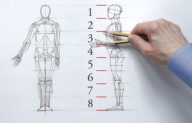 دانشمندان استرالیا..."ساخت اندام‌های بدن انسان با استفاده از سلول‌های بنیادی"