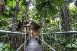 گردشگری استرالیا/بریزبن...ایالت کوئینزلند/ اقامتگاه درختی ( The Daintree Eco )