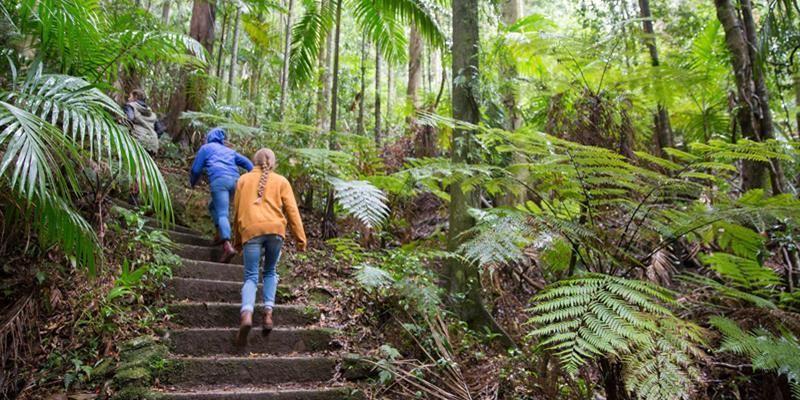 گردشگری استرالیا/بریزبن...ایالت کوئینزلند/کوه های مونت گلوریوس ( Mount Glorious )