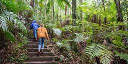گردشگری استرالیا/بریزبن...ایالت کوئینزلند/کوه های مونت گلوریوس ( Mount Glorious )