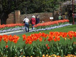 گردشگری استرالیا/هوبارت...ایالت تاسمانیا/ باغهای گیاه شناسی سلطنتی( Royal Tasmanian Botanical Gardens )