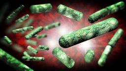 روند تکامل باکتری‌ها در پژوهشی 30 ساله توسط محققان  استرالیا