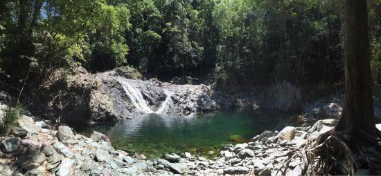 گردشگری استرالیا/بریزبن (شهر Sunshine Coast)...ایالت کوئینزلند/ پارک ملی ( Conondale, Queensland )