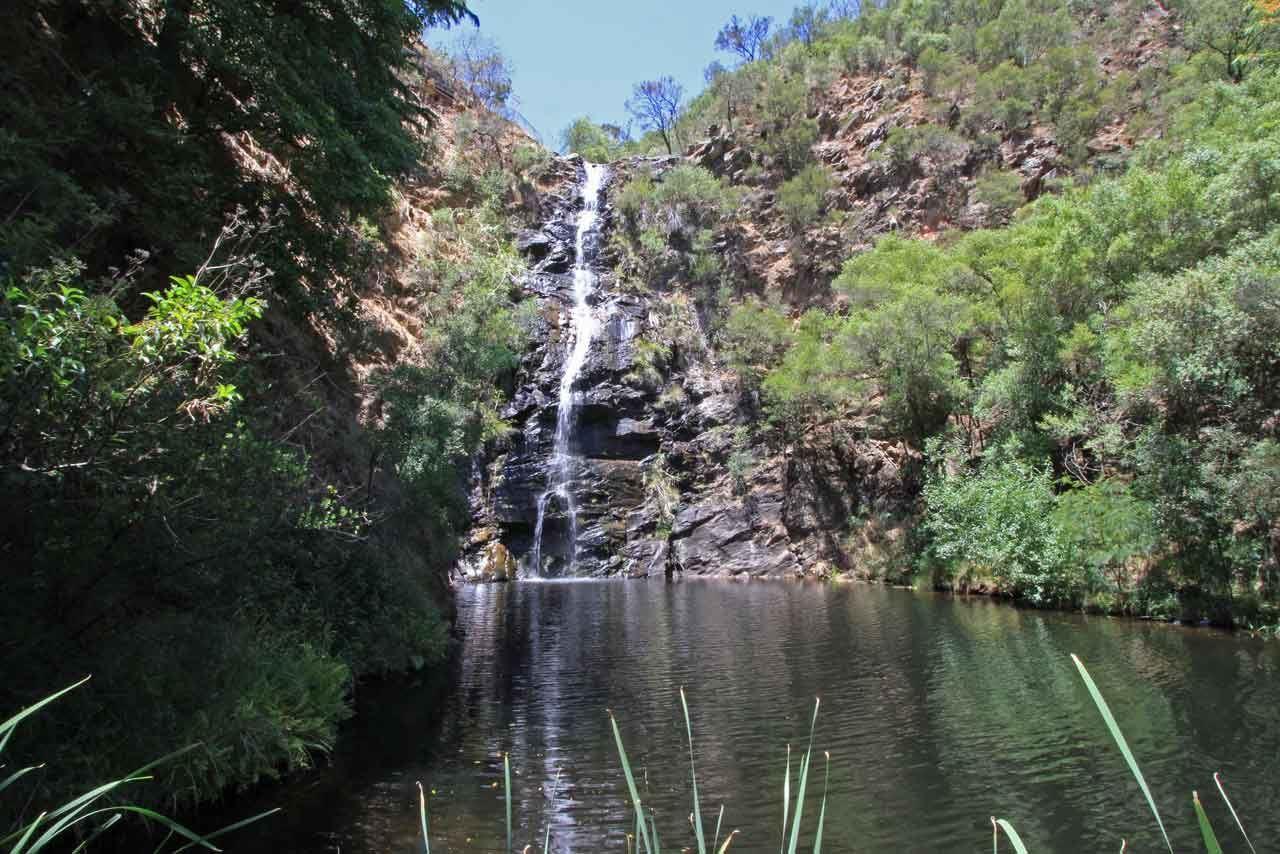 گردشگری استرالیا/آدلاید...استرالیای جنوبی/ آبشار گالی(Waterfall Gully )