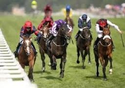 رویدادهای استرالیا...ملبورن / ملبورن کاپ ( Melbourne Cup)  سه شنبه 7 نوامبر2017