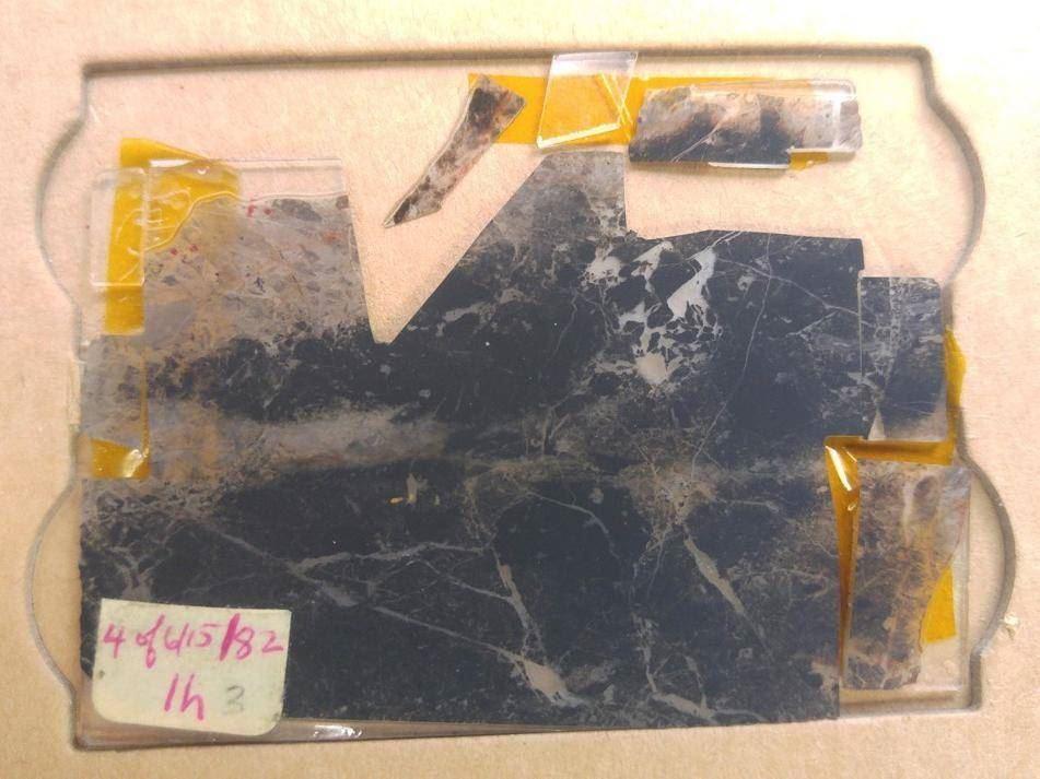 قدیمی‌ترین نشانه حیات در غرب استرالیا کشف شد