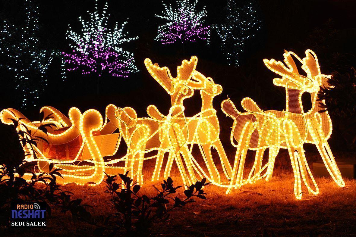 رویدادهای استرالیا...ملبورن/ بهترین چراغانی در ملبورن  ( Melbourne Christmas lights ) یک هفته قبل از کریسمس و بعد از تاریک شدن هوا 