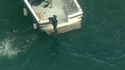  ۶ نفر در پی سقوط  هواپیما به داخل رودخانه  سیدنی استرالیا کشته شدند