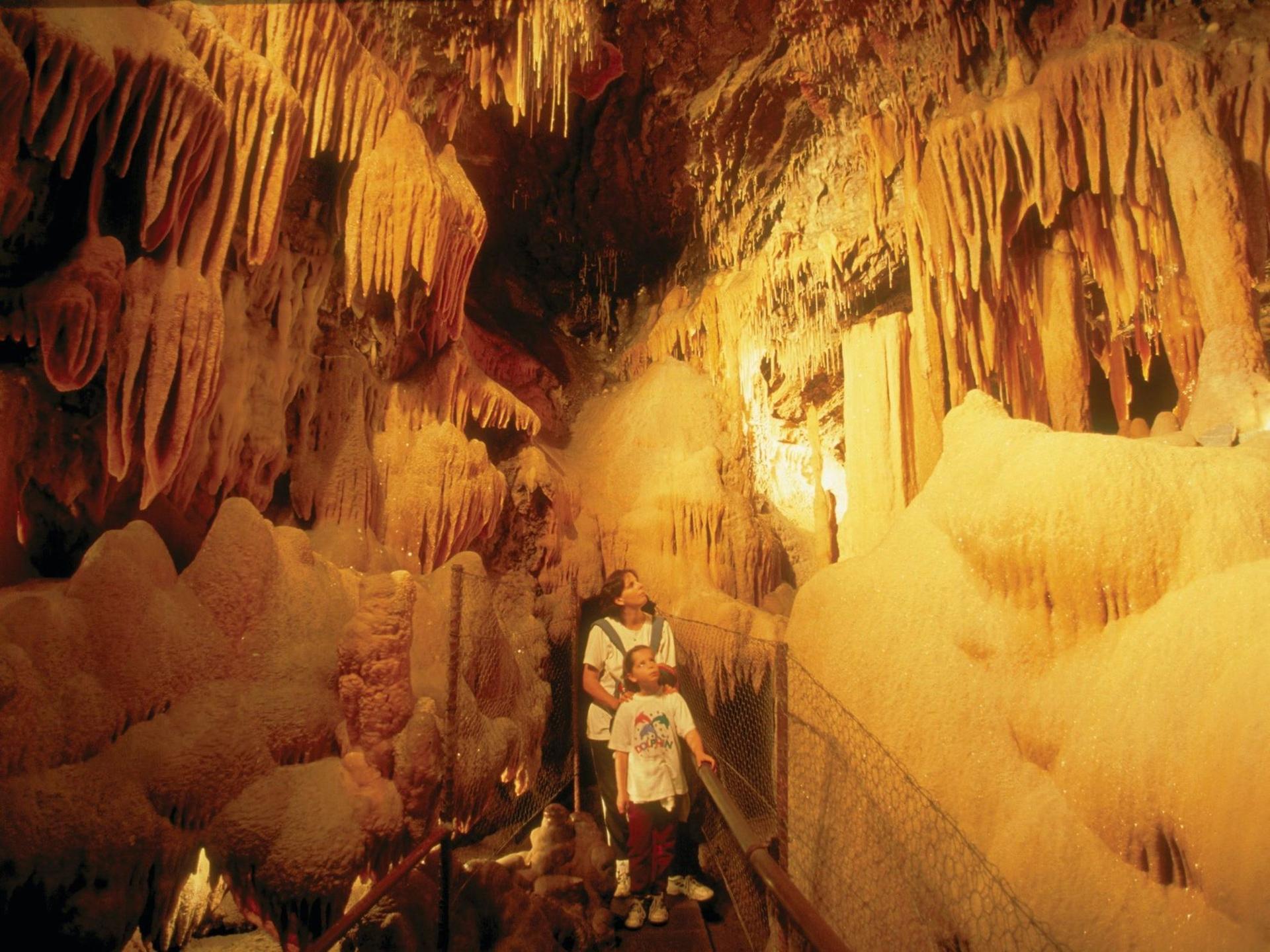 گردشگری استرالیا..ملبورن(شهر باکن Buchan)/ غارهای باکن در ویکتوریا ( Buchan Caves Reserve )