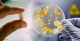 محققان استرالیا...بازگشت آنتی‌بیوتیک فراموش شده برای مقابله با بدترین میکروب‌های بیماری‌زا