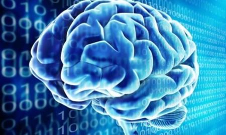 مغز مصنوعی توسط محققان استرالیایی برای معلولان ساخته شد