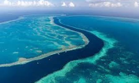 ناکافی بودن اقدامات استرالیا برای حفظ دیواره بزرگ مرجانی 