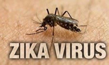 دانشمندان در تلاشند بوسیله پشه ناقل اصلاح‌ شده با ویروس زیکا مقابله کنند