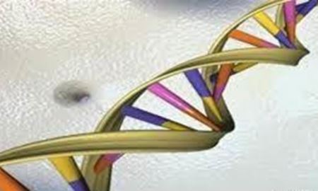 محققان استرالیا موفق به شناسایی ژن اصلی عامل سندروم داون و دیابت شدند