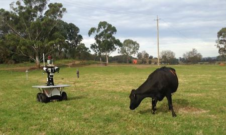 روبات چوپان در مزارع وسیع  استرالیا !!!