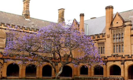 اگر دانشجویان سیدنی تا پیش از رویش نخستین شکوفه های درخت درس نخوانند، مردود می شوند!