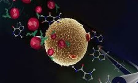 کشف یک مولکول جدید برای مبارزه با سرطان توسط محققان استرالیا