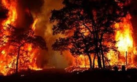 بدلیل آتش سوزی گسترده در استرالیا، فرمان تخلیه برخی مناطق روستایی صادر شد