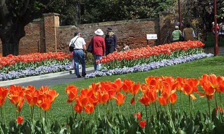 گردشگری استرالیا/هوبارت...ایالت تاسمانیا/ باغهای گیاه شناسی سلطنتی( Royal Tasmanian Botanical Gardens )