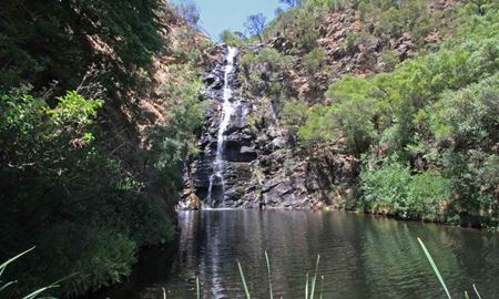 گردشگری استرالیا/آدلاید...استرالیای جنوبی/ آبشار گالی(Waterfall Gully )