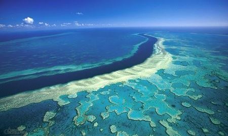  شدت تخریب "دیواره بزرگ مرجانی" در استرالیا بدلیل گرمای جهانی