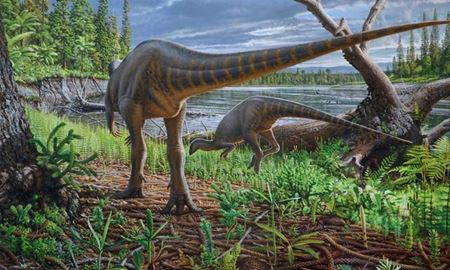 فسیل دایناسوری به اندازه بوقلمون، در استرالیا کشف شد