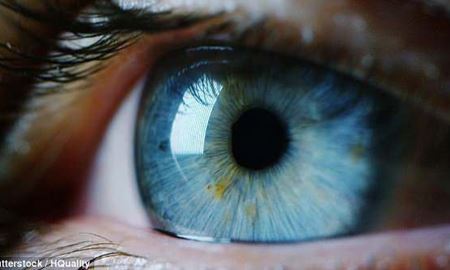 تشخیص رابطه میان چشم و شخصیت با استفاده از هوش مصنوعی توسط محققان استرالیا