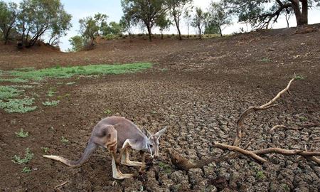 کمک ارتش استرالیا برای مقابله با خشکسالی به دامداران 
