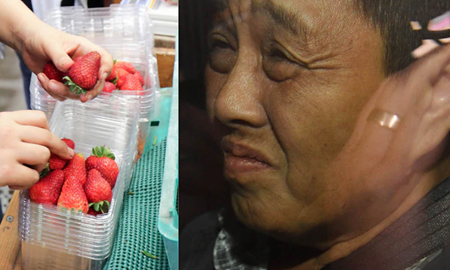 دادگاه رسیدگی به اتهام آلوده کردن توت فرنگی در استرالیا توسط یک زن  