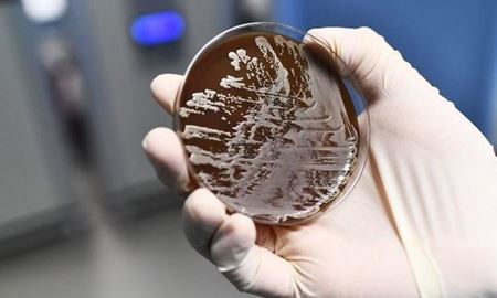 باکتری‌های مقاوم به دارو عامل مرگ میلیون‌ها نفر تا سال 20150