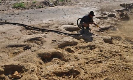 ردپای دایناسور غول پیکر در سواحل کوئینزلند استرالیا کشف شد
