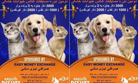 دومین دوره مسابقه عکس حیوانات خانگی رادیو نشاط شروع شد
