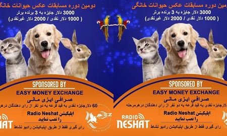 رای گیری دومین دوره مسابقه عکس حیوانات خانگی رادیو نشاط شروع شد