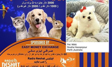 NIKKI اولین فینالیست، دومین دوره مسابقه عکس حیوانات خانگی رادیو نشاط 